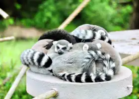 サンフランシスコ動物園