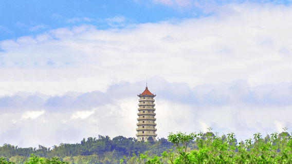 Ninh Đức