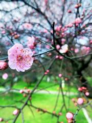 Changsha Gardens Ecological Garden