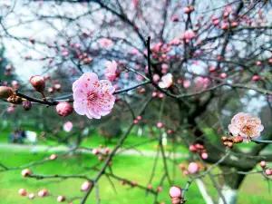 Changsha Gardens Ecological Garden