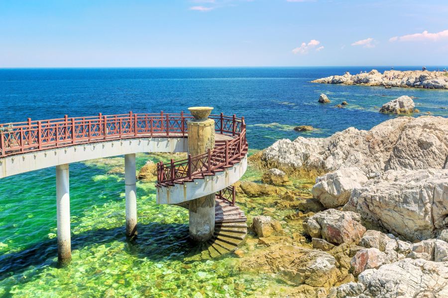 養馬島