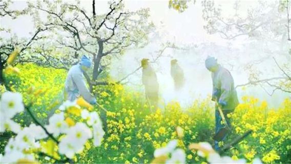 Liucun Pear Garden Scenic Area