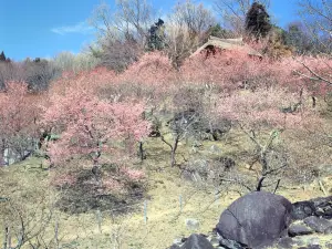 Mount Tsukuba