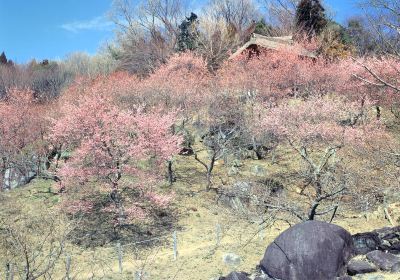 Mont Tsukuba