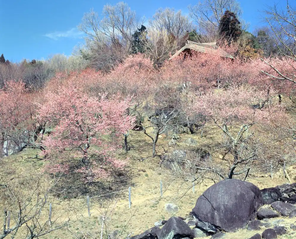 Hotels near Mount Tsukuba