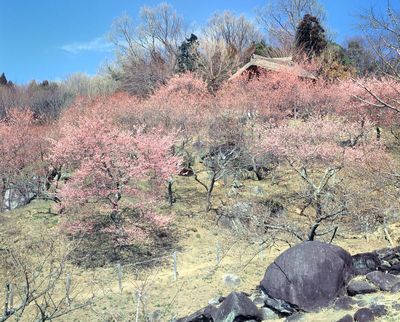 Mount Tsukuba