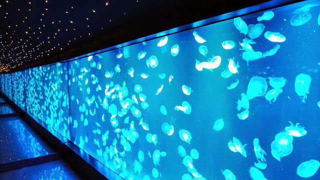 Nantong Ocean World