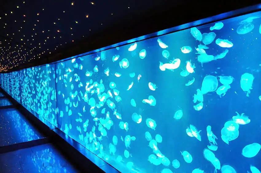 Hotels near Nantong Ocean World