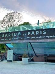 Парижский океанариум