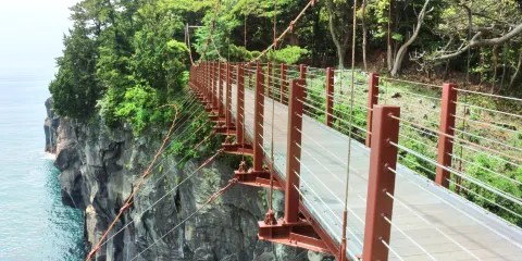 大室山+城崎海岸+門脅吊橋一日遊【中文司機+ 包車遊】