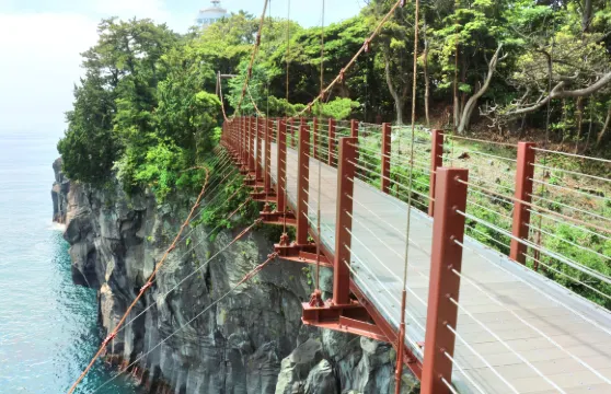 大室山+城崎海岸+門脅吊橋一日遊【中文司機+ 包車遊】