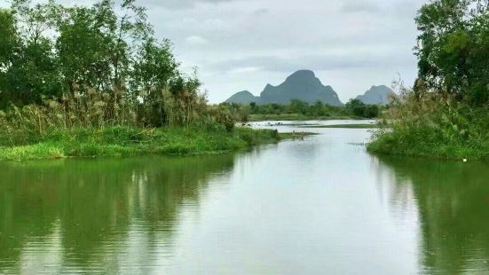 桂林会仙喀斯特湿地是中国最大岩溶湿地。这里地貌独特，湿地周围