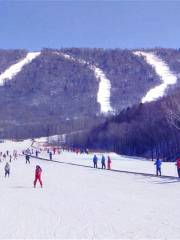 蓮青山滑雪場