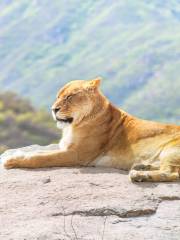 八達嶺野生動物世界（バーダーリン・ワールドライフワールド）