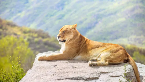 八達嶺野生動物世界