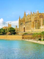 Catedral-Basílica de Santa María de Mallorca