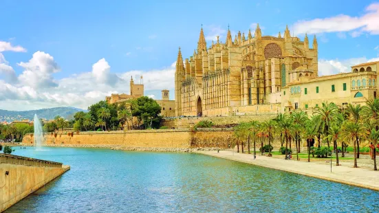 Cathedral de Mallorca