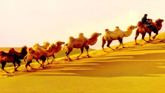 Seven Star Lake Desert Ecological Tourism Area