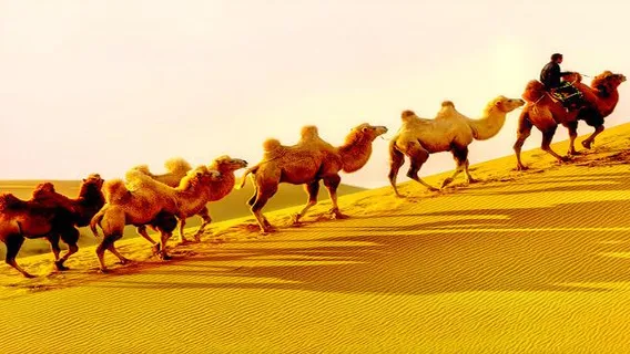 Seven Star Lake Desert Ecological Tourism Area