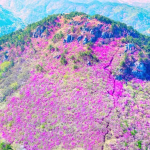 영취산
