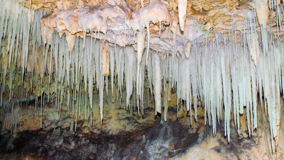 Cayman Crystal Caves