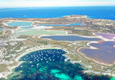 Đảo Rottnest