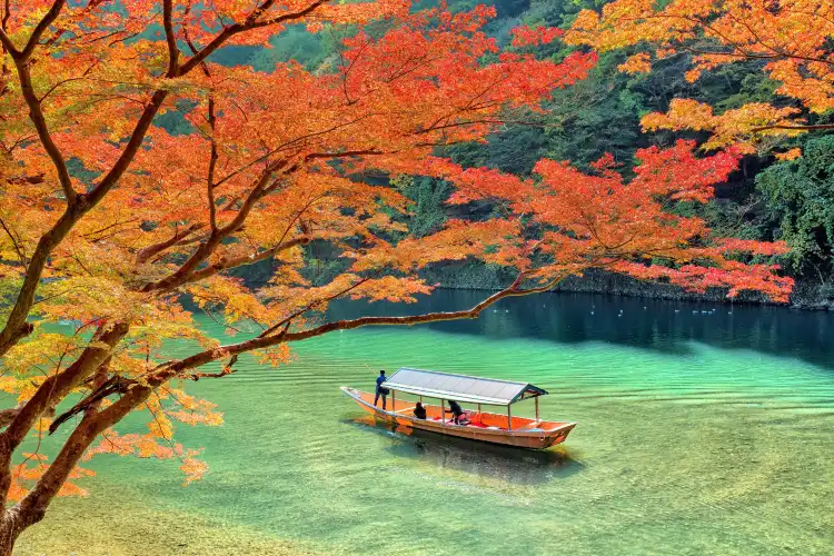 浄光寺附近的飯店