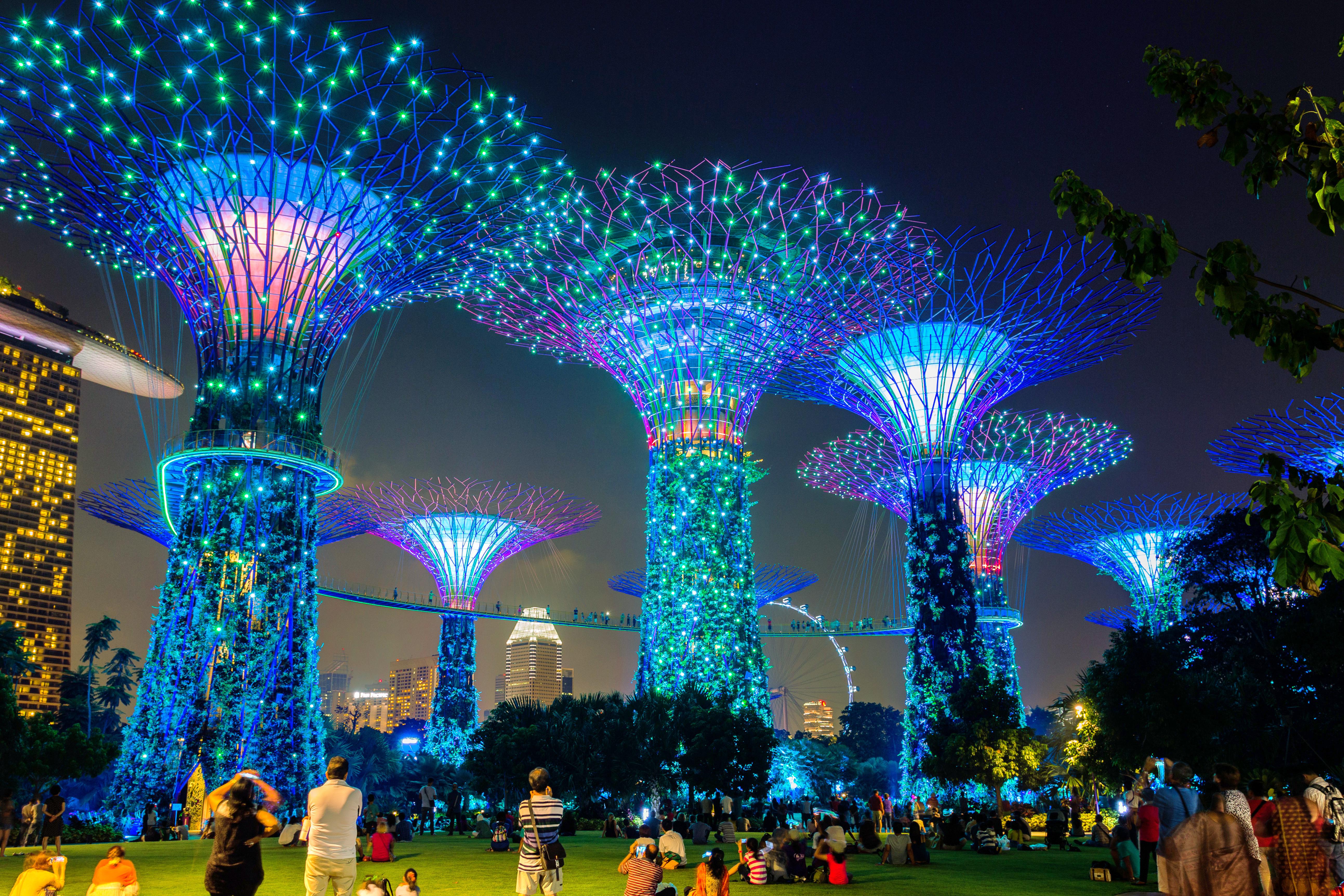 Garden Rhapsody | Supertree Grove