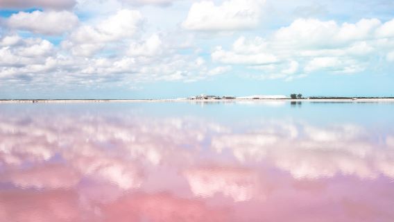 Las Coloradas Pink Lake + Cenote 1-Day Tour From Cancun