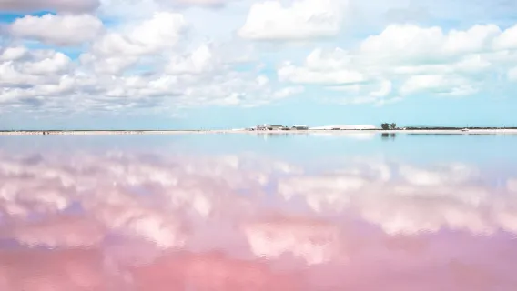 Danau Pink Las Coloradas + Perjalanan Satu Hari ke Cenote dari Cancun