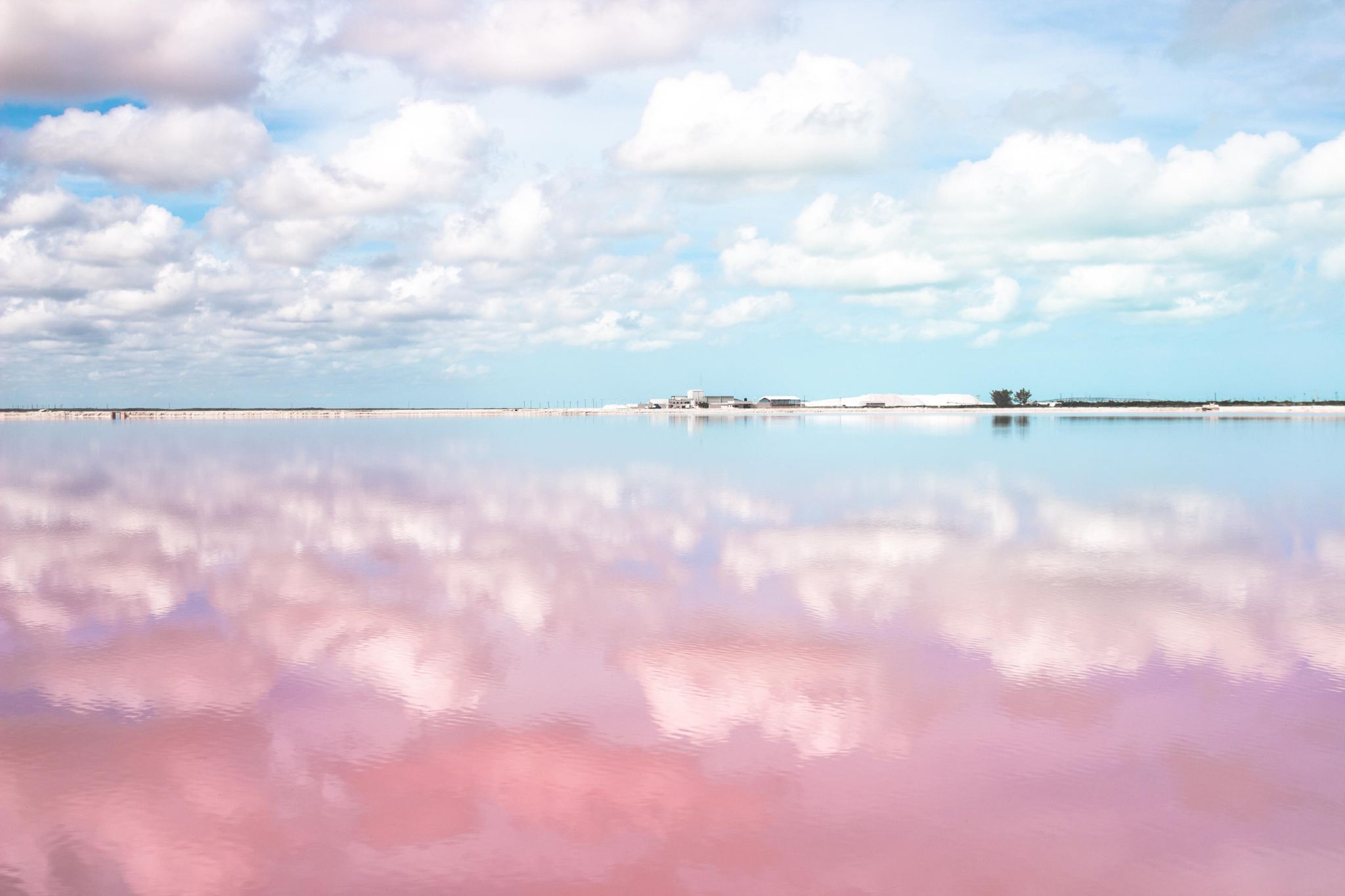 Lago Rosa Las Coloradas + Cenote tour di un giorno da Cancun