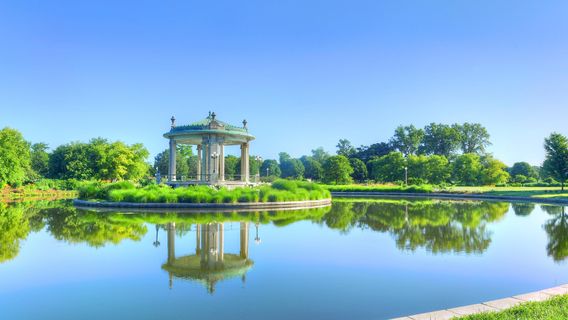 St. Louis