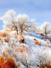 亞雪驛站十里畫廊