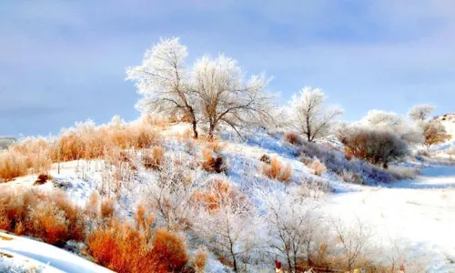 Yaxue Station Shili Gallery