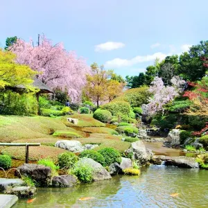 妙心寺退蔵院