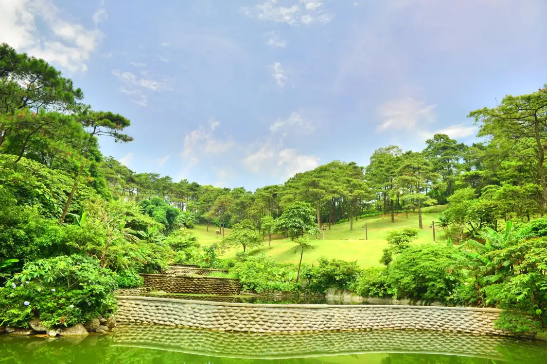 鄰近越南波圍國家公園的酒店