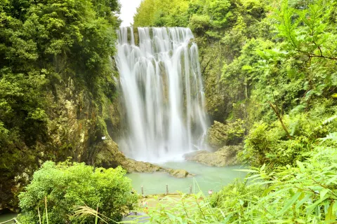 Red Fruit Tree Scenic Area