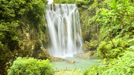 Red Fruit Tree Scenic Area