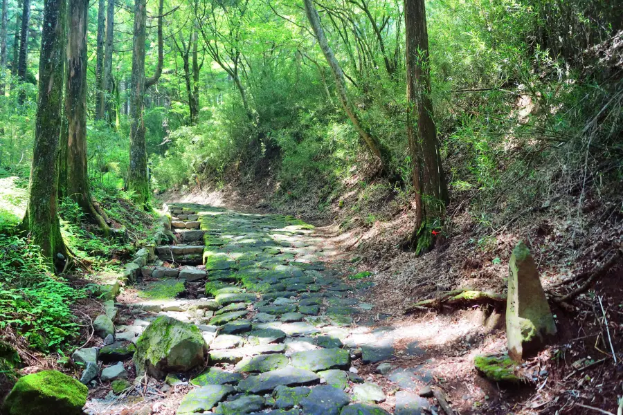 Hakone Stone‐paved Road