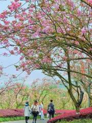 충칭(중경) 엑스포 공원