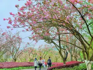 Chongqing Garden Expo Park