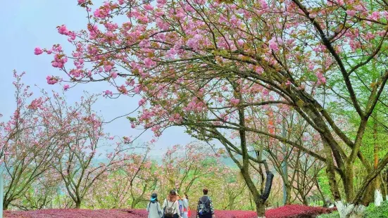 Chongqing Garden Expo Park