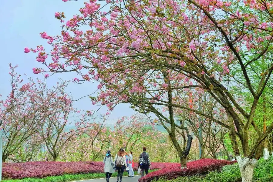 Chongqing Garden Expo Park