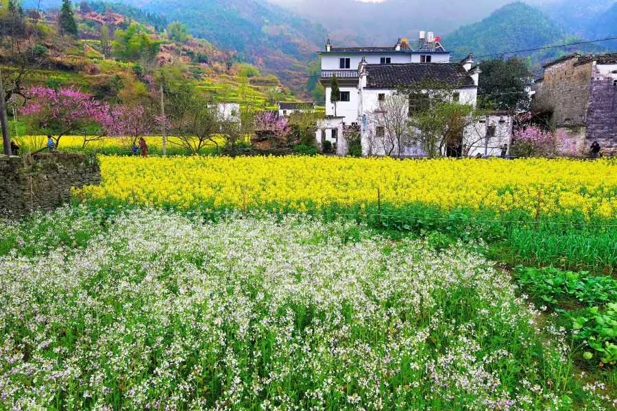 Qingyuan