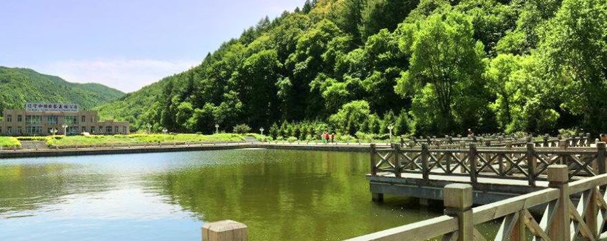Hemu Forest Park