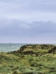 Catlins Coastal Heritage Trail