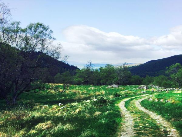 Tay Forest Park