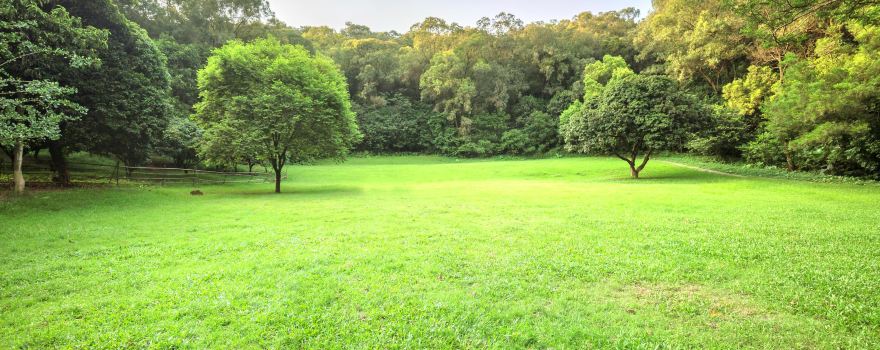 Qifeng Park