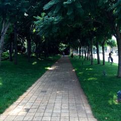 InterContinental Kunming·Cai Die Ba User Photo