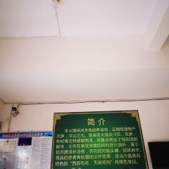 Yaojizhaotongtianmahuotui Chicken Hot Pot City (menghai) User Photo